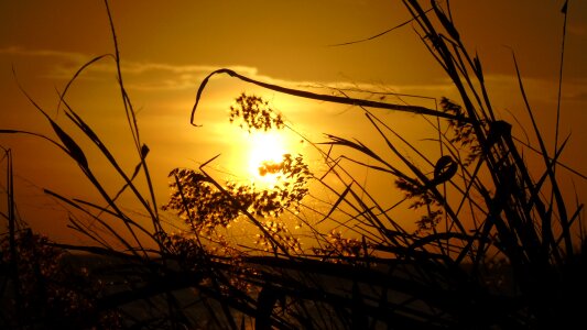 Sunset afternoon beach