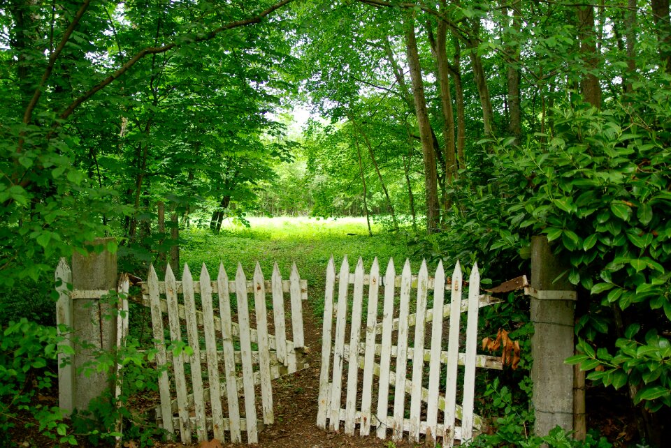 Closing barrier entry