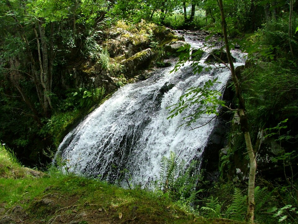 River cascade nature