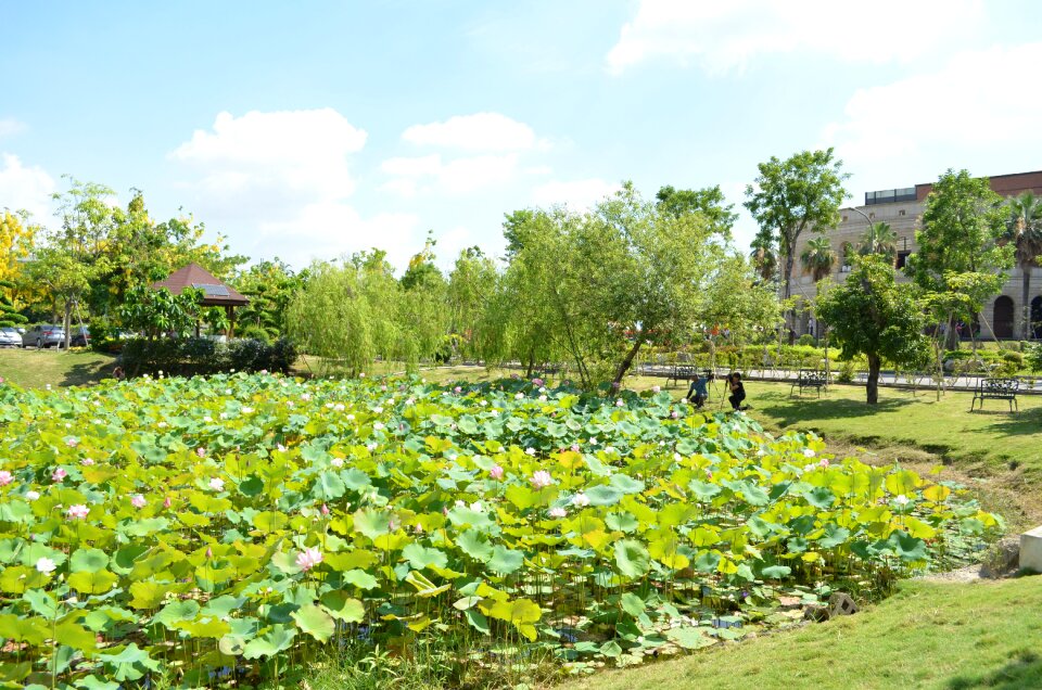 Blue day baiyun nature