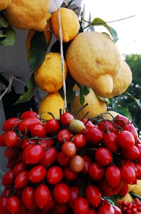Fruit organic tomatoes