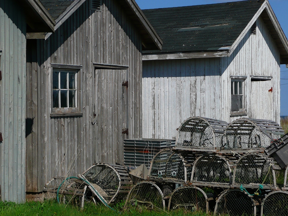 Heritage lobster cage fishing