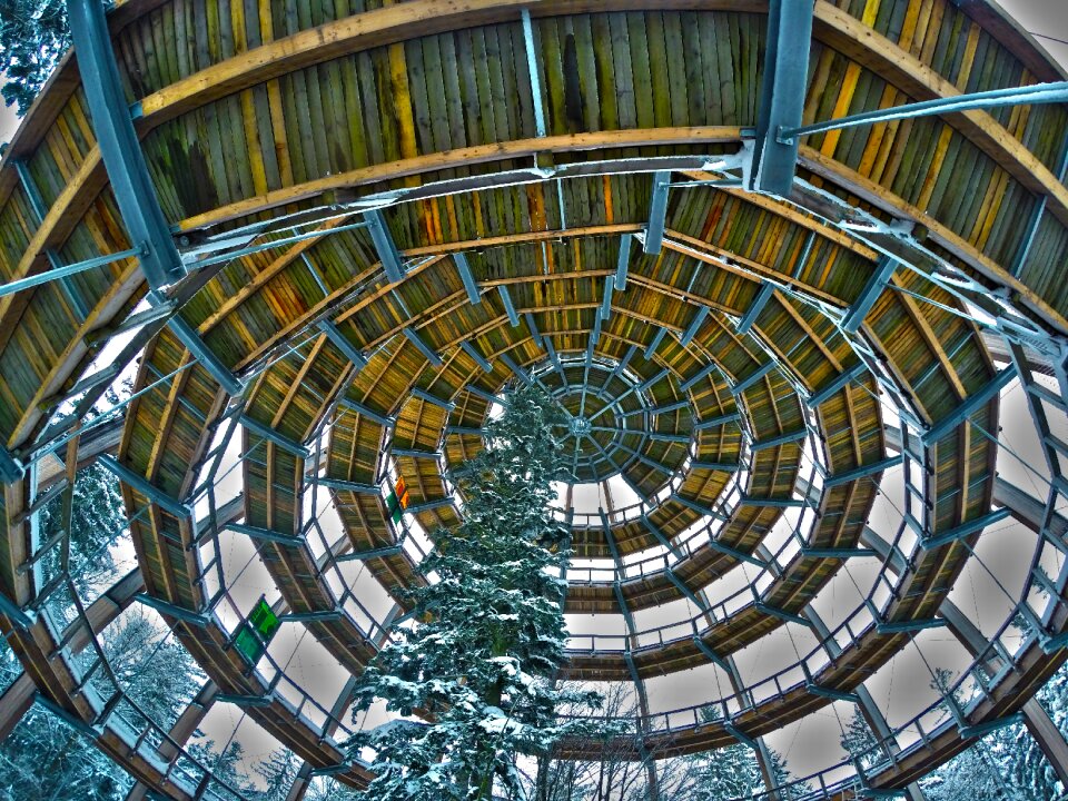 Treetop path boardwalk winter