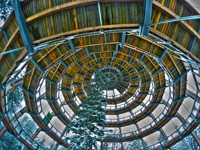 Treetop path boardwalk winter