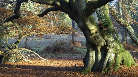 Nature lovers landscape photo