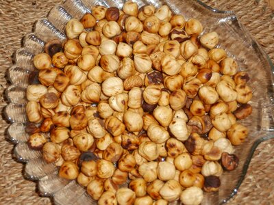 Hazelnut nut photo