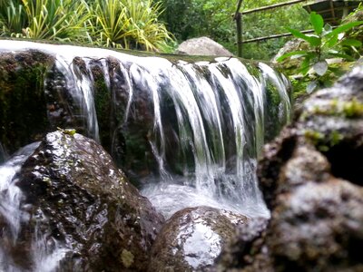 Life transparent water landscape photo