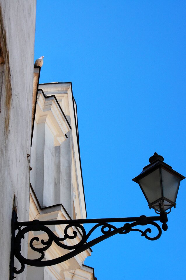 Dove lamppost cathedral