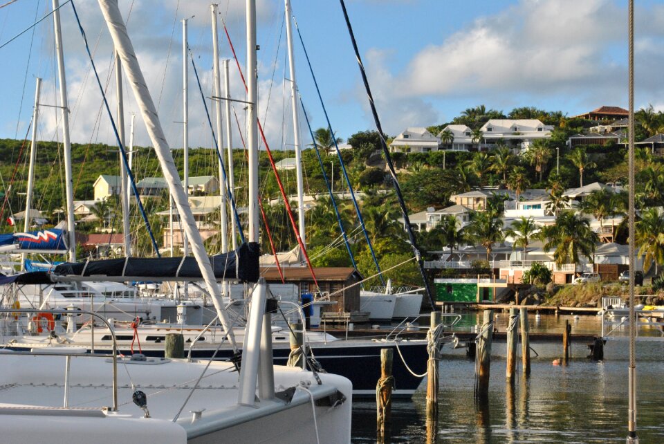 Harbor west indies sailboats
