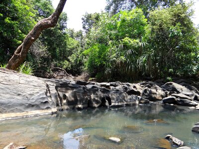 Stream nature landscape photo