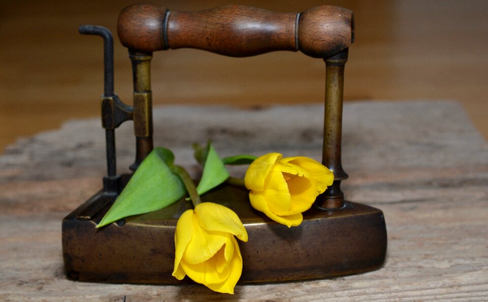 Yellow flowers iron old iron