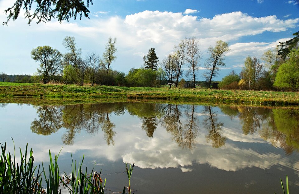 Signs of spring pond blue sky