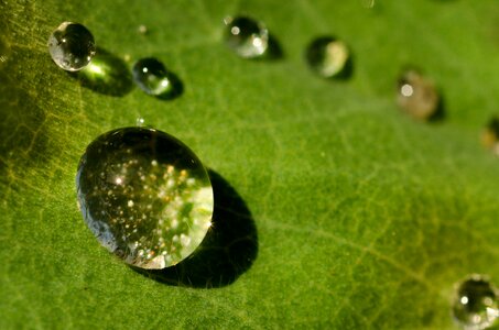 Shiny bubble droplet photo