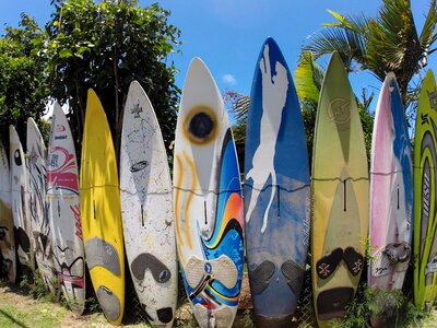 Hawaii wall several boards