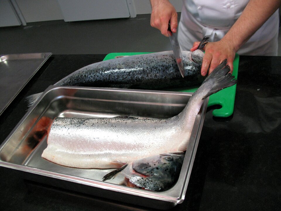 Norway sea ​​fish cook