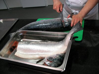 Norway sea ​​fish cook photo