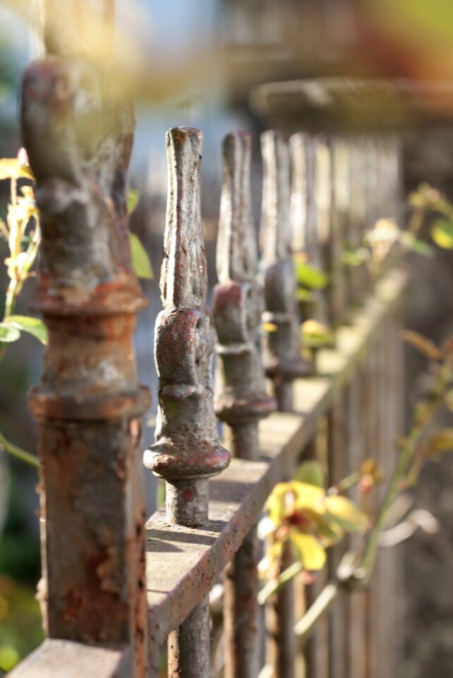 White garden fence rust