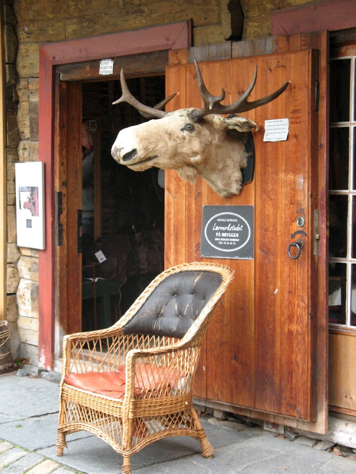 Bergen elk armchair