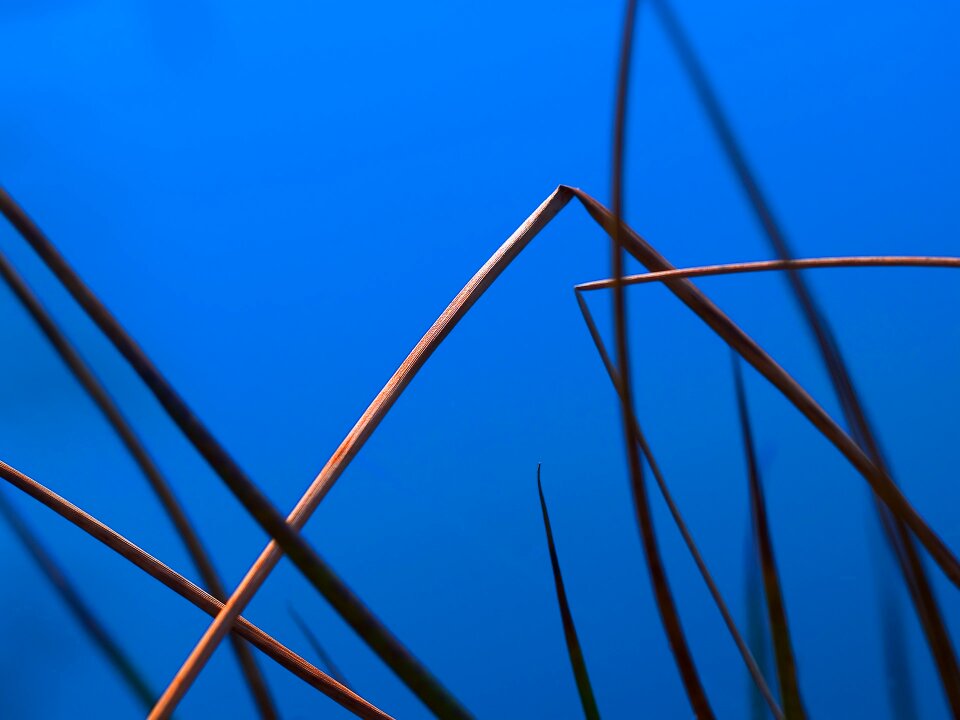 Graphically water nature