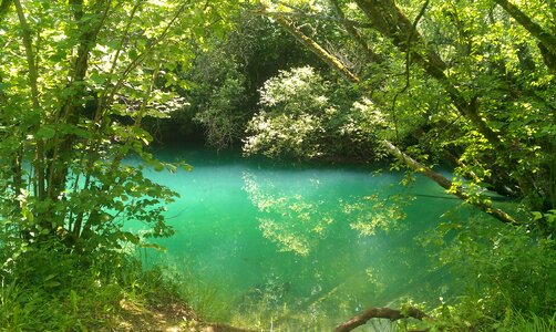 Nature lake wood