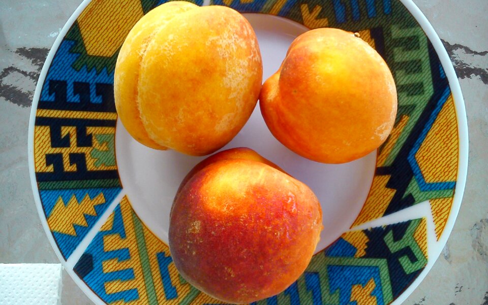 Fruits dish summer