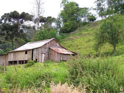 Environment nature mato