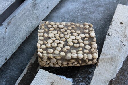Frozen dog food dogs norway