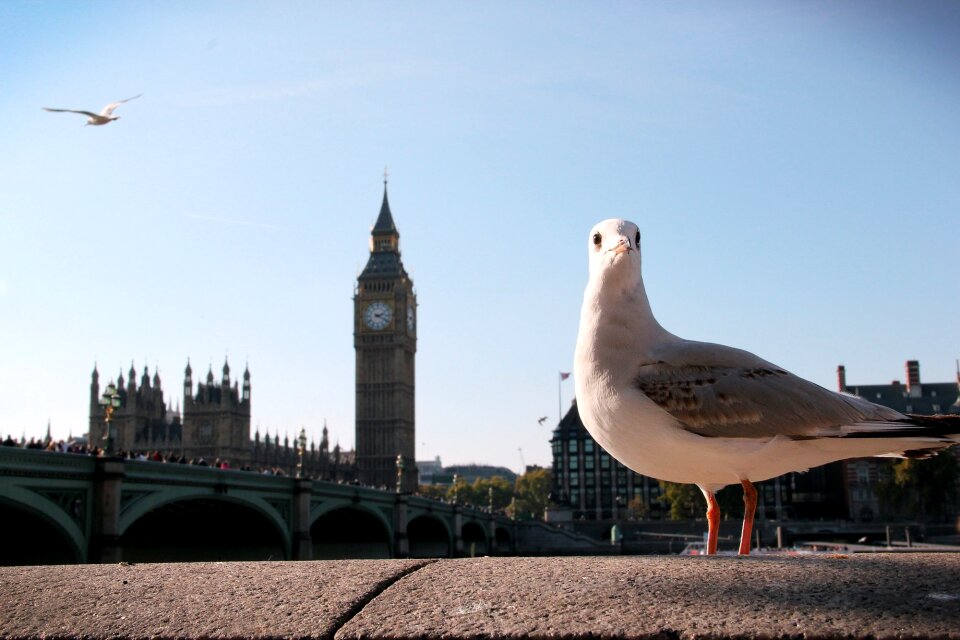 Tourism travel british