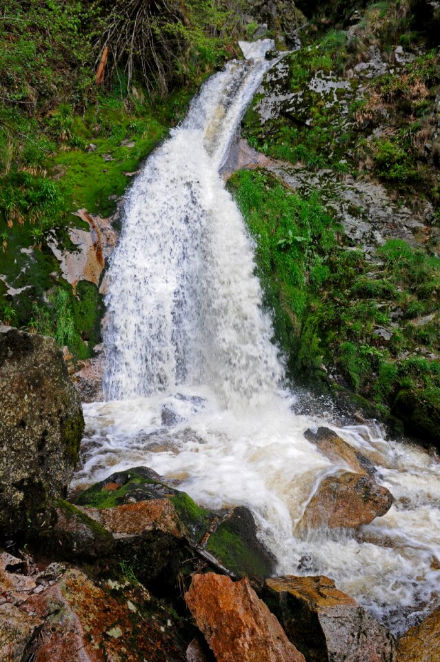 Nature wild water