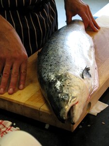 Norway sea ​​fish cook photo