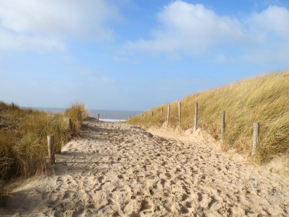 Marram grass dunes sun