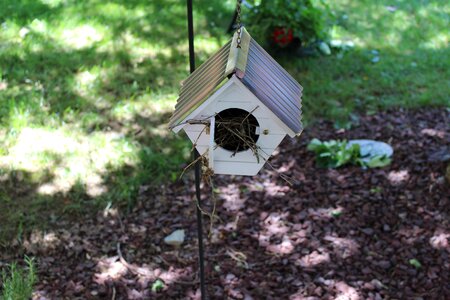 Garden bird house photo