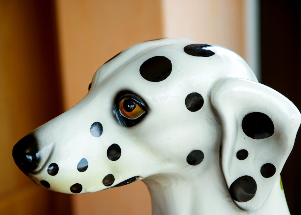 Snout statue portrait of animals
