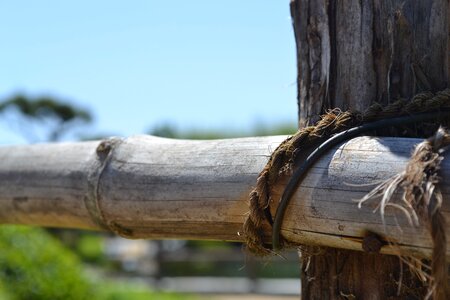 Focus rural garden