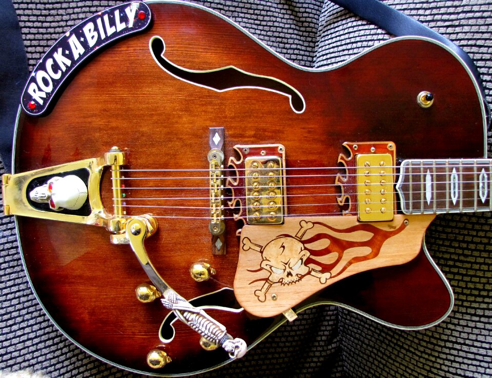 Electric musician rock