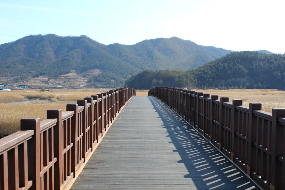Wooden scenery nature