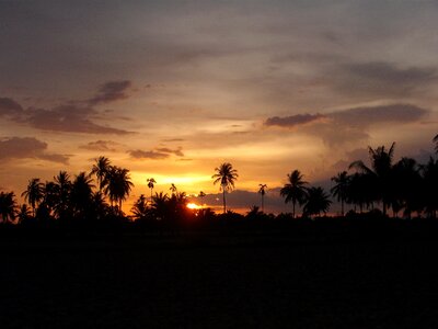 Sunset far east nature photo