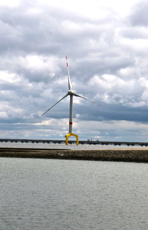 Offshore energy ecology