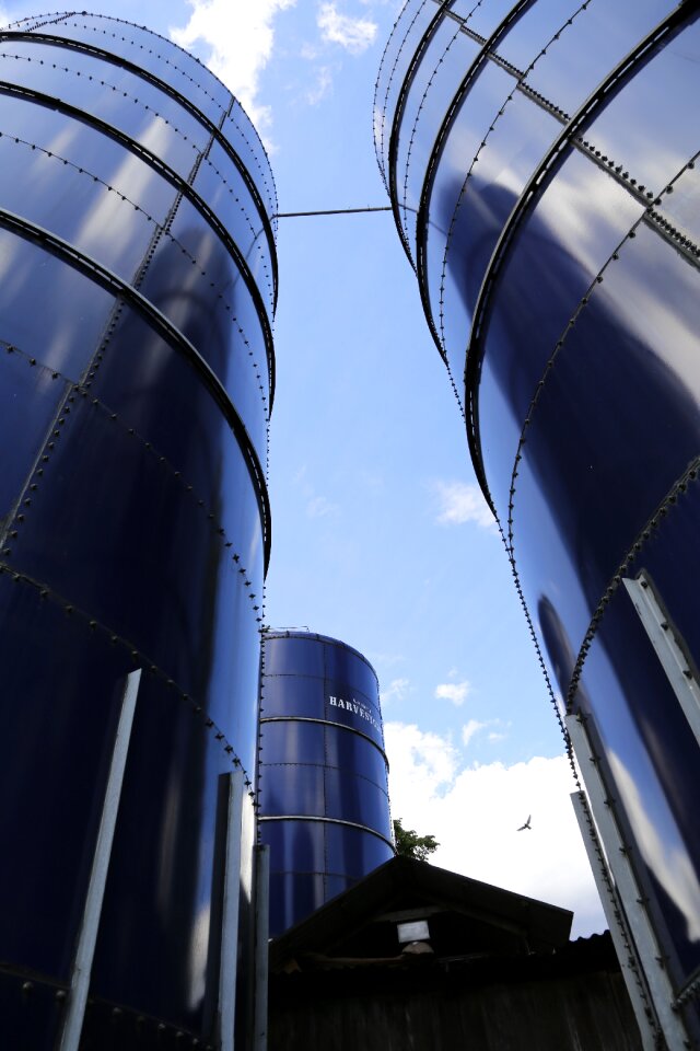Feed stock cattle feed ticino