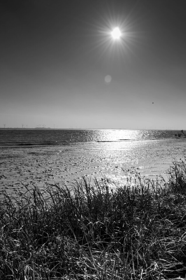 Landscape horizon black and white