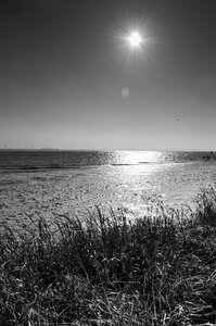 Landscape horizon black and white