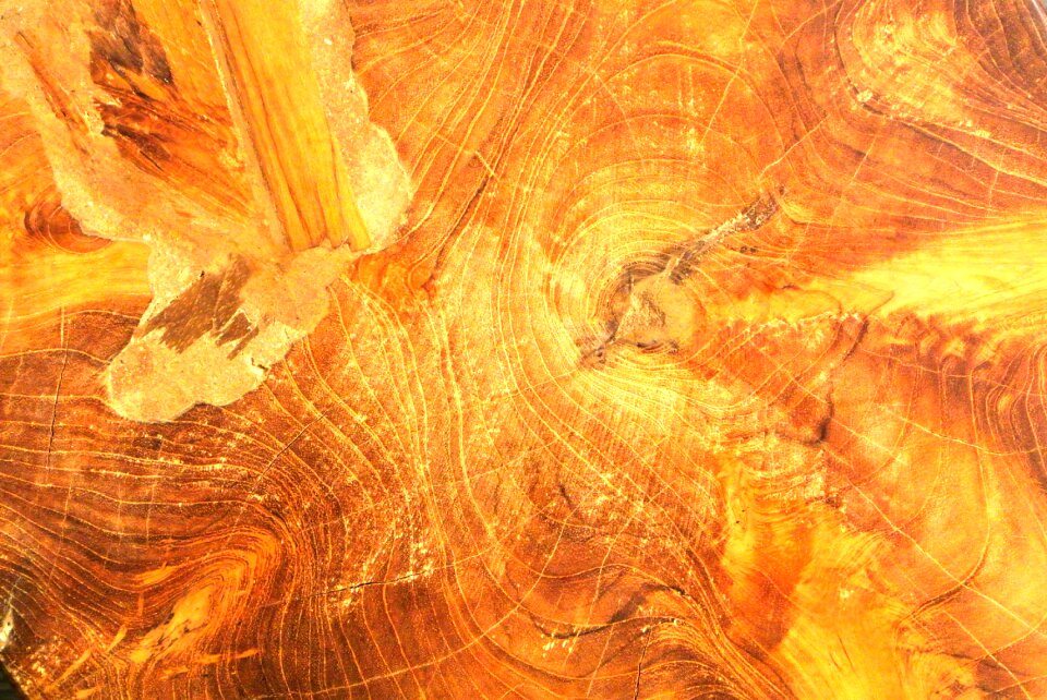 Texture pattern brown