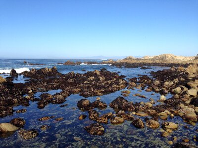 California ocean beach photo