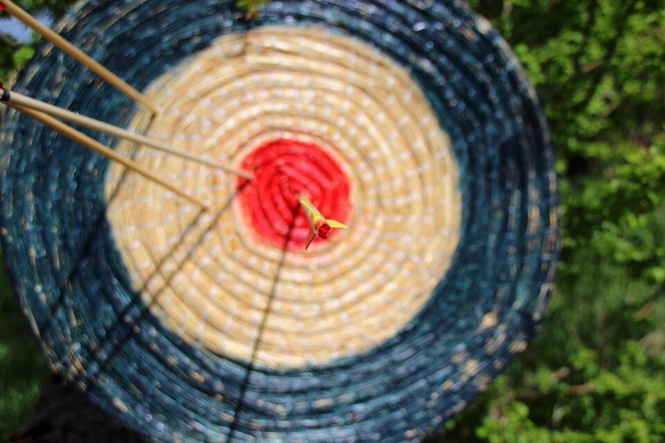 Bull's eye archery disc photo