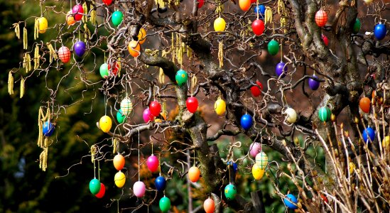 Easter eggs on tree easter decorations egg
