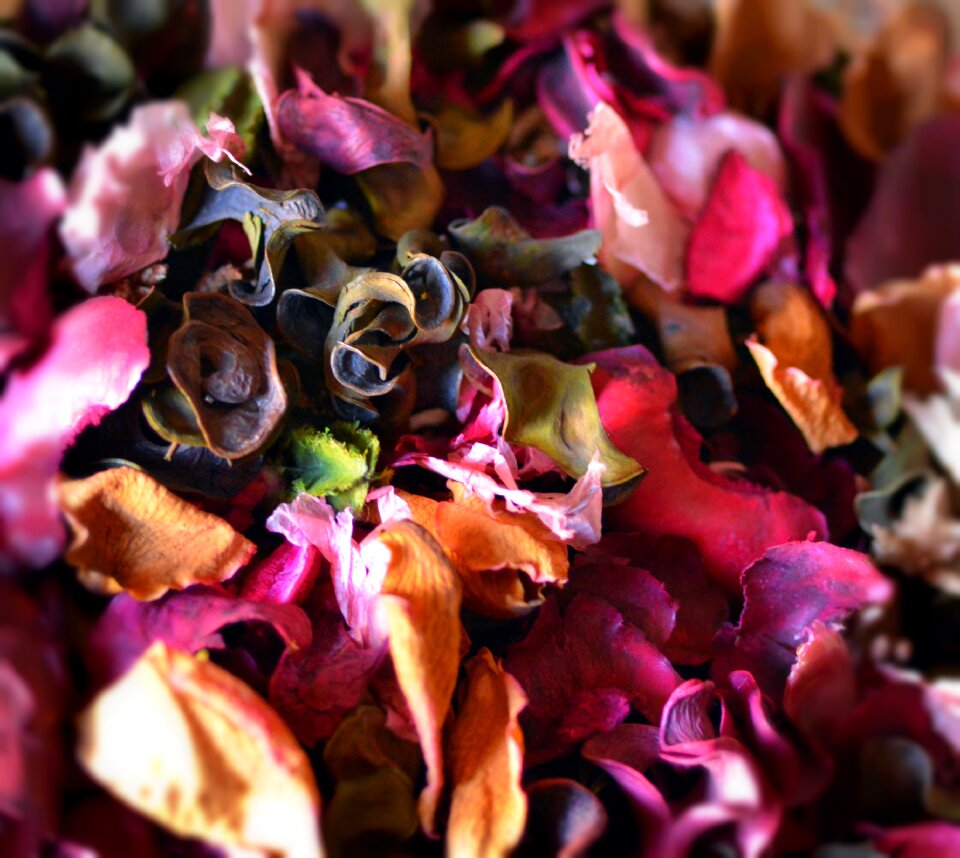 Potpourri scent color