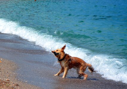 Beach great wet photo