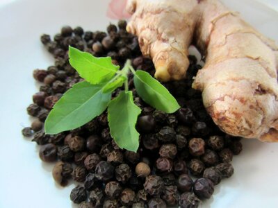 Herbal alternative