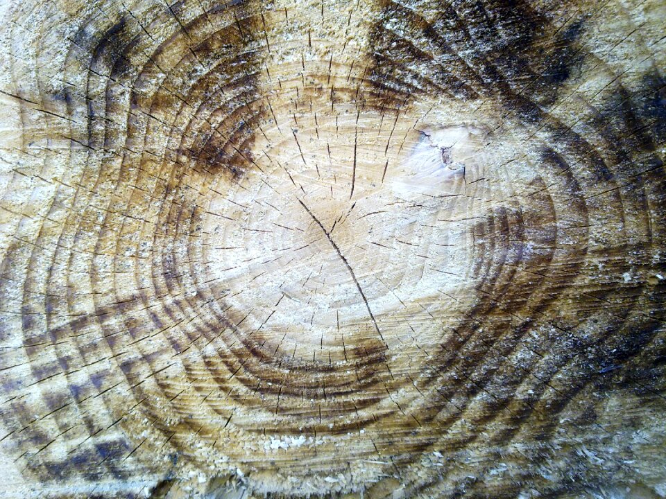 Nature holzstapel storage
