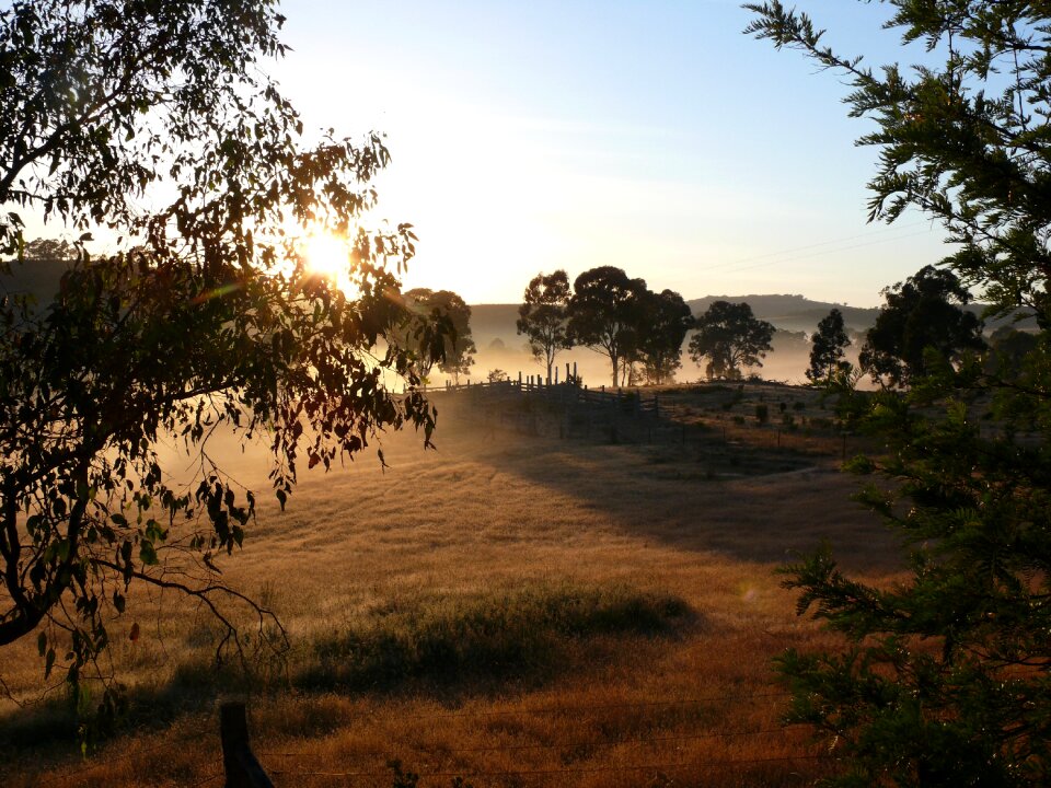 Country bush farm